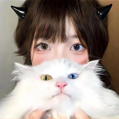 山里红海报