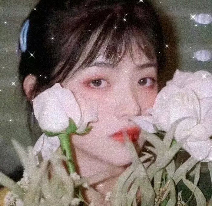 玛丽亚凯莉之星梦飞舞海报