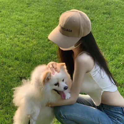 有毛冇翼飞天猪海报